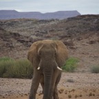 Namibi 4038.jpg