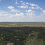 Namibi 4087.jpg
