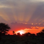 Namibi 4101.jpg